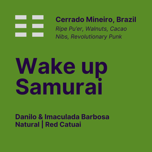 Wake Up Samurai