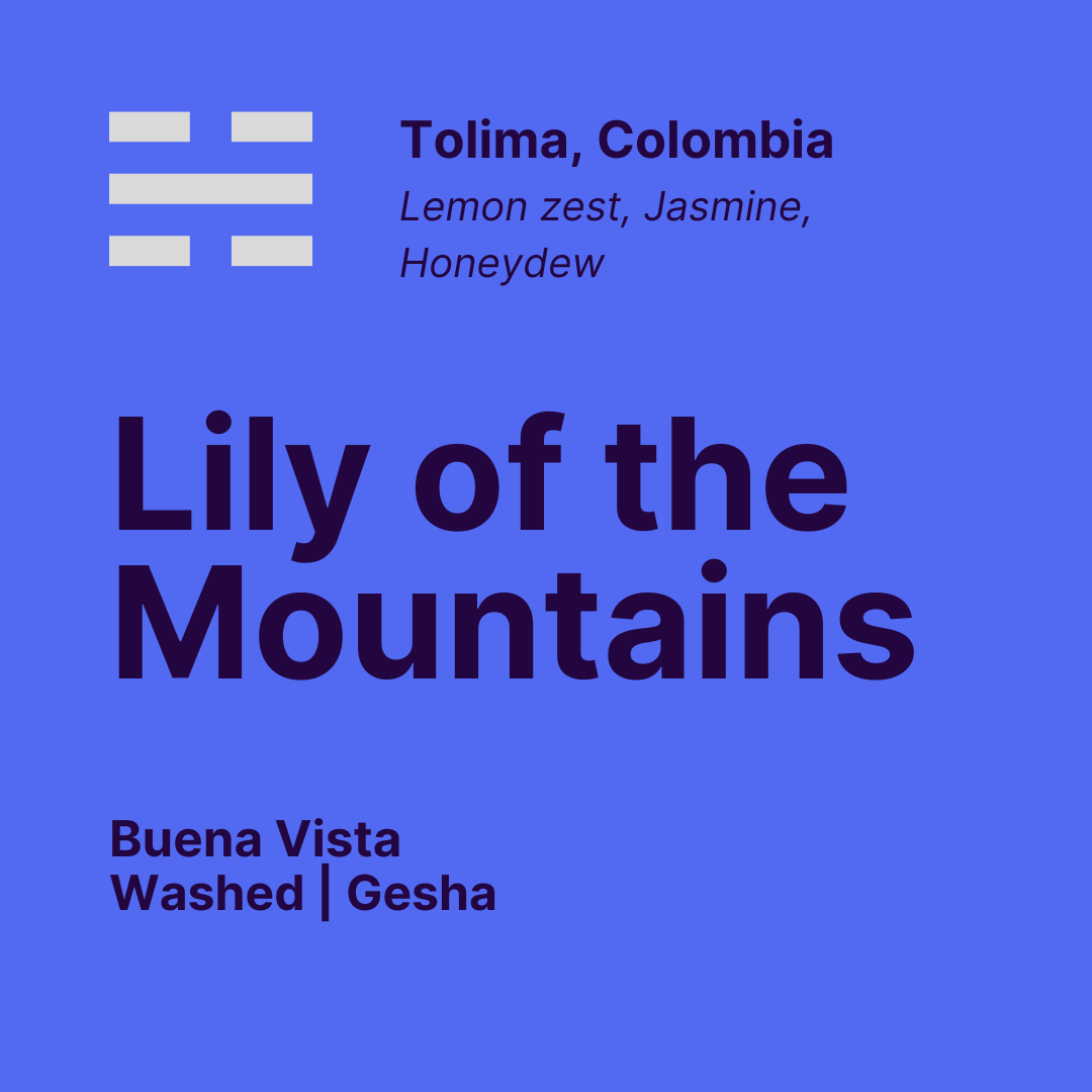 Lily of the Mountain