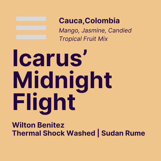 Icarus' Midnight Flight