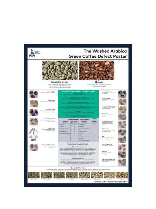SCA Washed Arabica Green Coffee Defect Poster