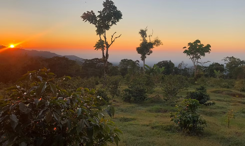 Sunrise Over a Thousand Hills