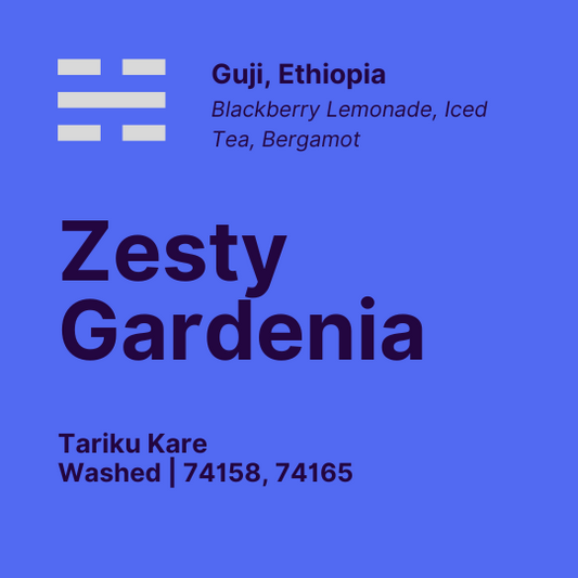 Zesty Gardenia